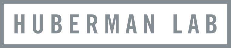 Huberman Lab