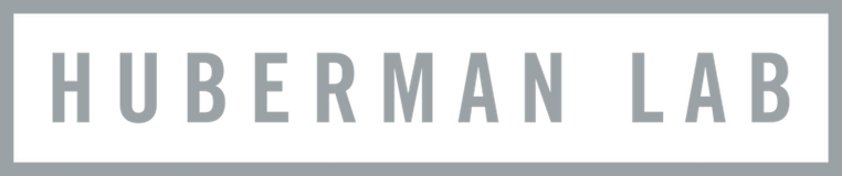 Huberman Lab